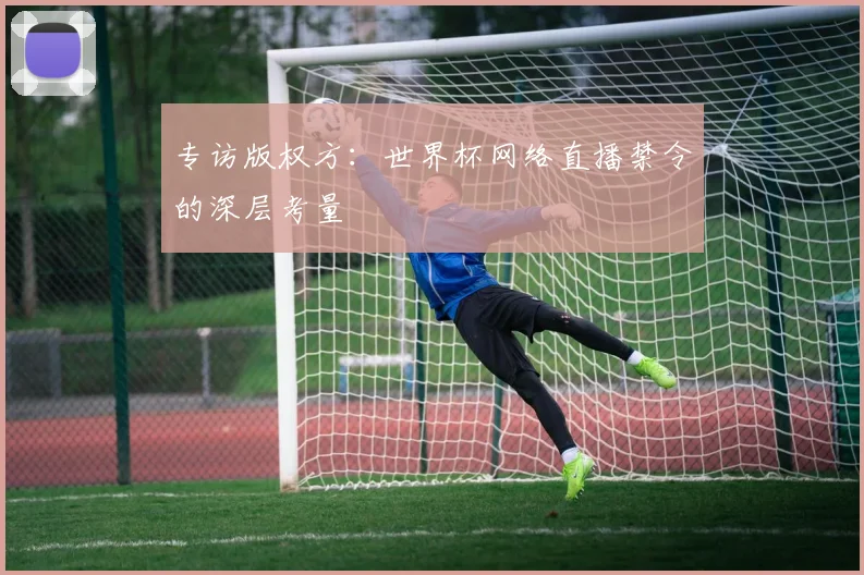 专访版权方:世界杯网络直播禁令的深层考量