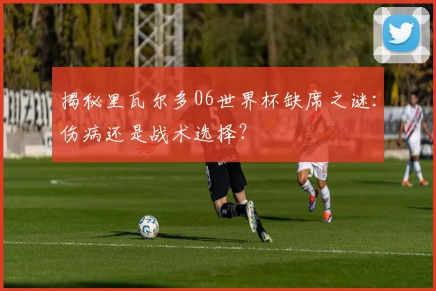 揭秘里瓦尔多06世界杯缺席之谜:伤病还是战术选择?