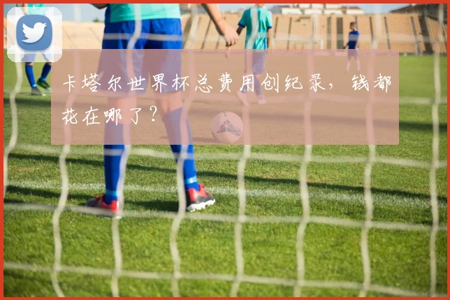 卡塔尔世界杯总费用创纪录，钱都花在哪了？