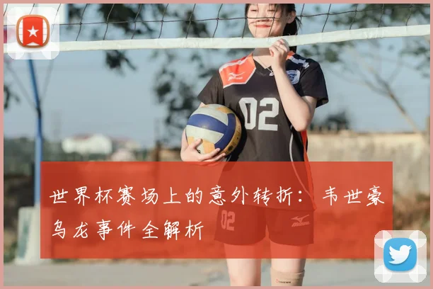 世界杯赛场上的意外转折：韦世豪乌龙事件全解析