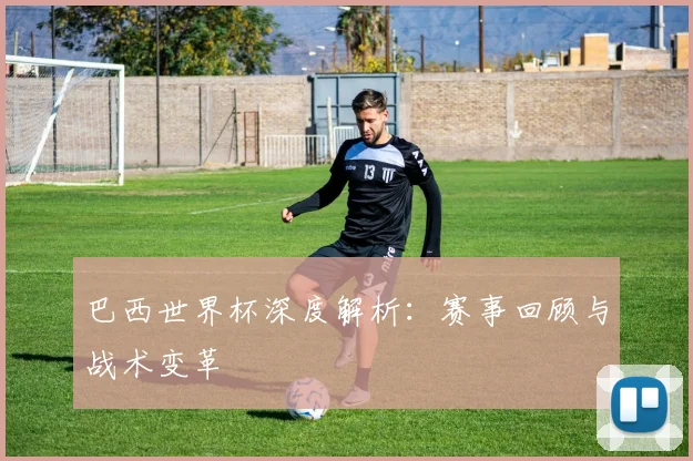 巴西世界杯深度解析:赛事回顾与战术变革