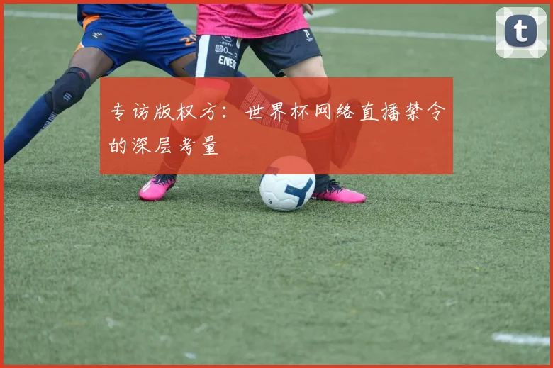 专访版权方:世界杯网络直播禁令的深层考量