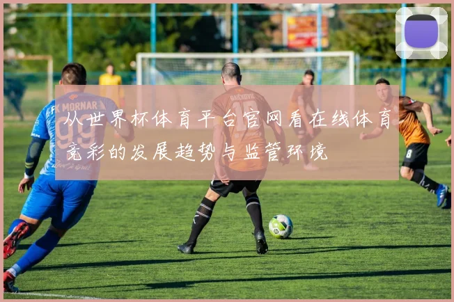从世界杯体育平台官网看在线体育竞彩的发展趋势与监管环境