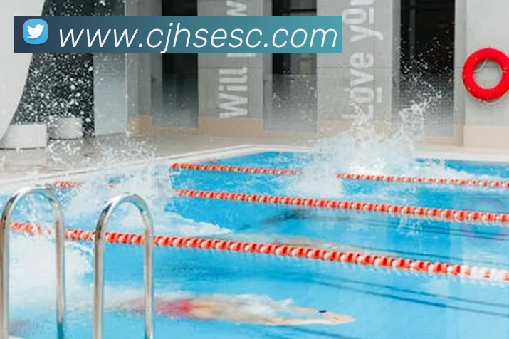 App Interface Preview